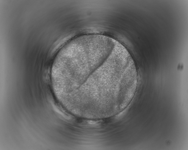 X0000112070166200909151057