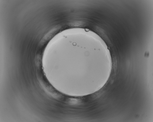 X0000112070167200909151057