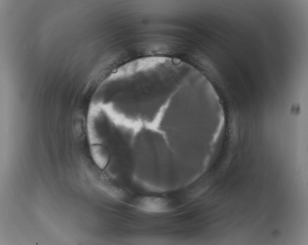 X0000112070169200909151057
