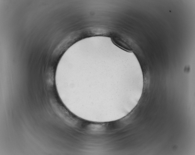 X0000112070170200909151057