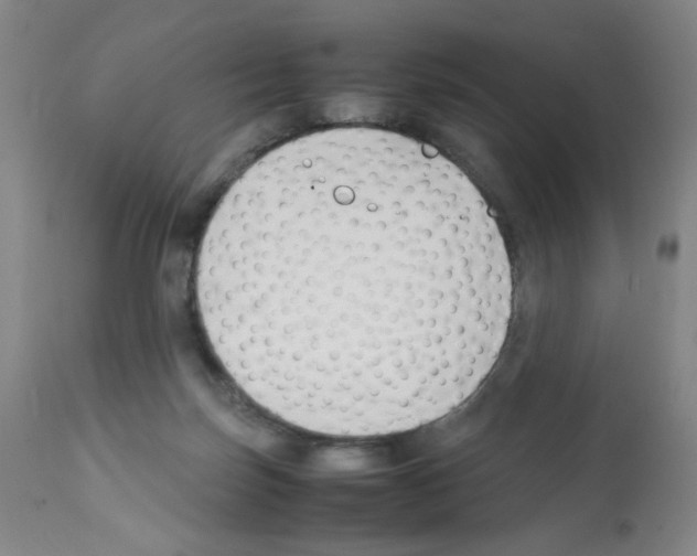 X0000112070171200909151057