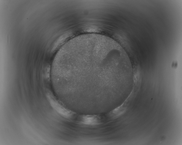 X0000112070175200909151057