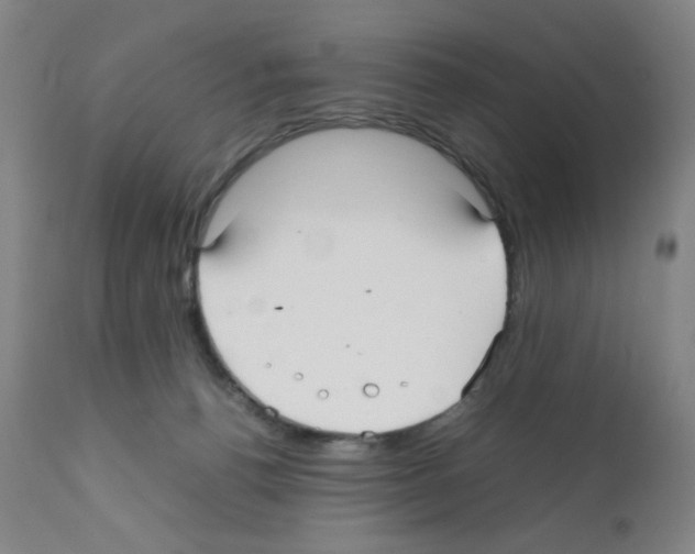 X0000112070176200909151057