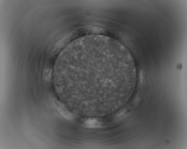 X0000112070177200909151057