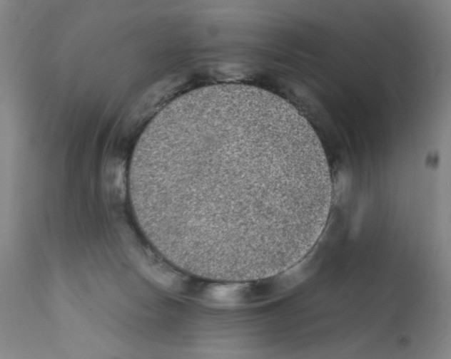 X0000112070178200909151057