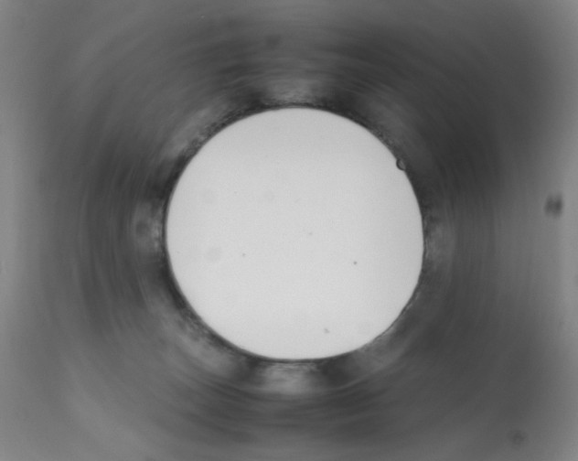 X0000112070179200909151057
