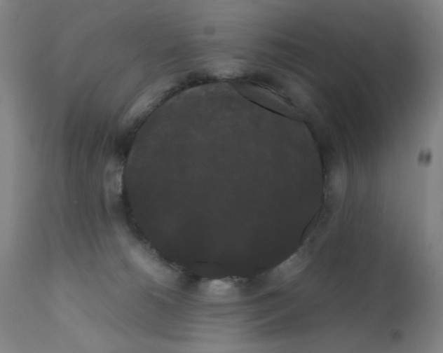 X0000112070180200909151057