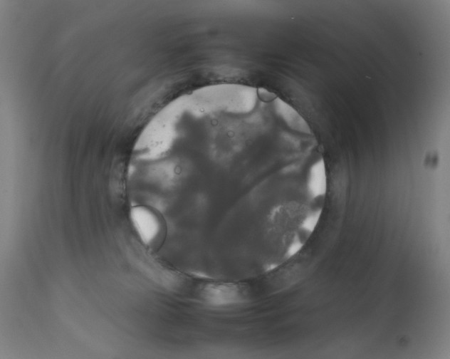 X0000112070181200909151057