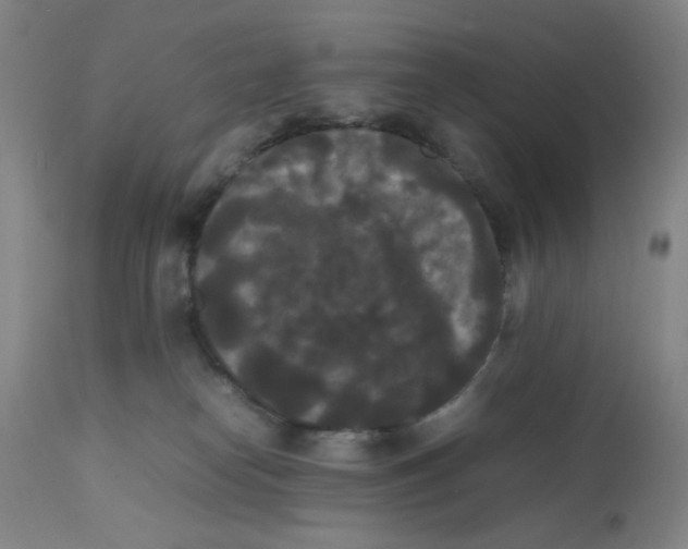 X0000112070182200909151057