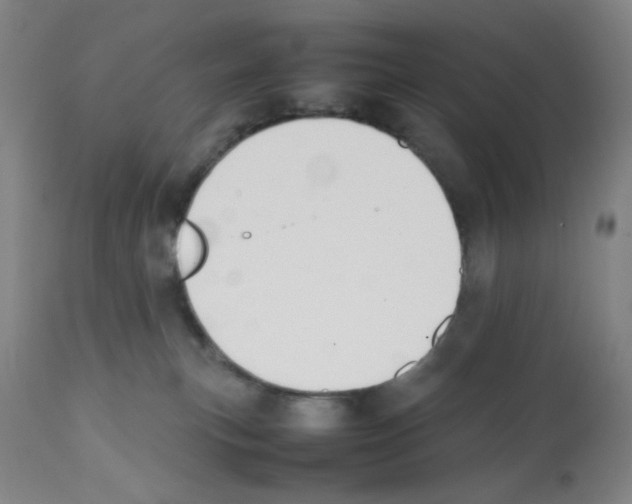 X0000112070183200909151057