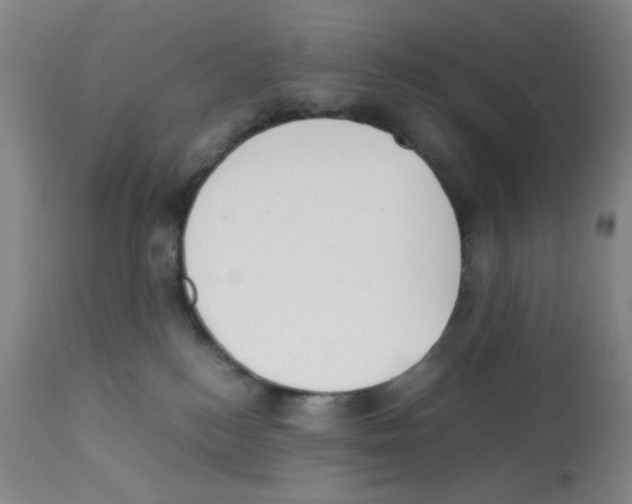 X0000112070184200909151057