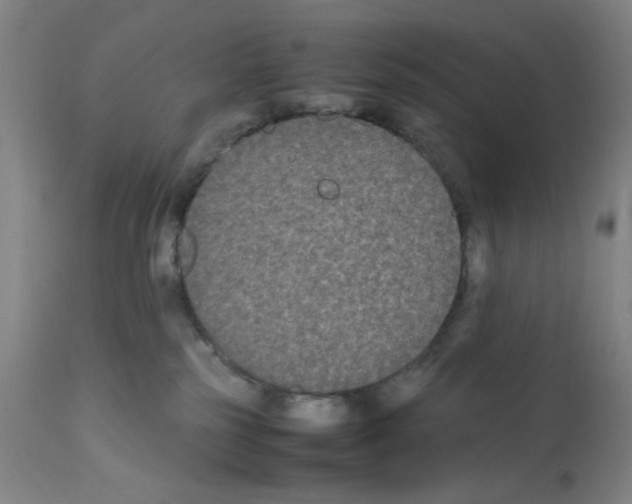 X0000112070185200909151057