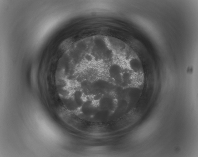 X0000112070189200909151057