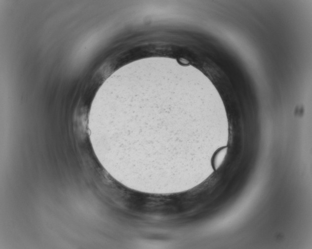 X0000112070190200909151057