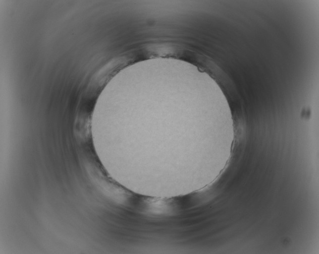 X0000112070191200909151057