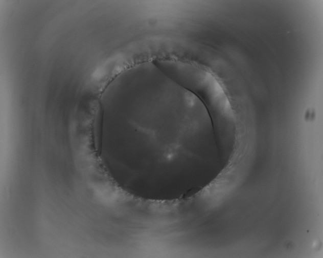 X0000112070192200909151057