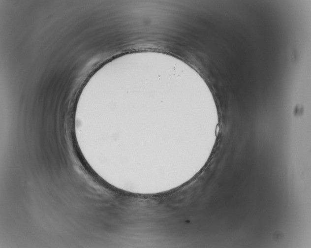 X0000112070193200909151056