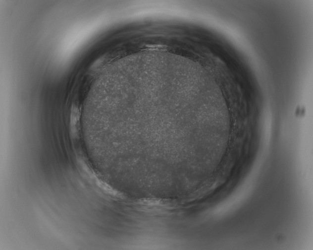 X0000112070194200909151056
