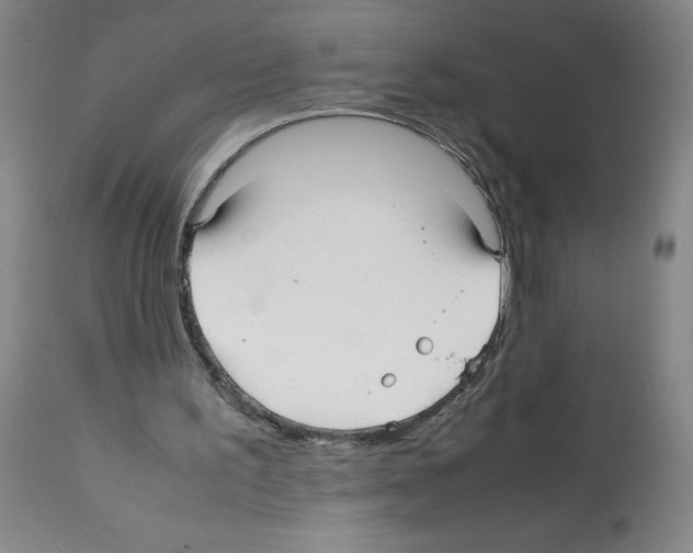 X0000112070195200909151056