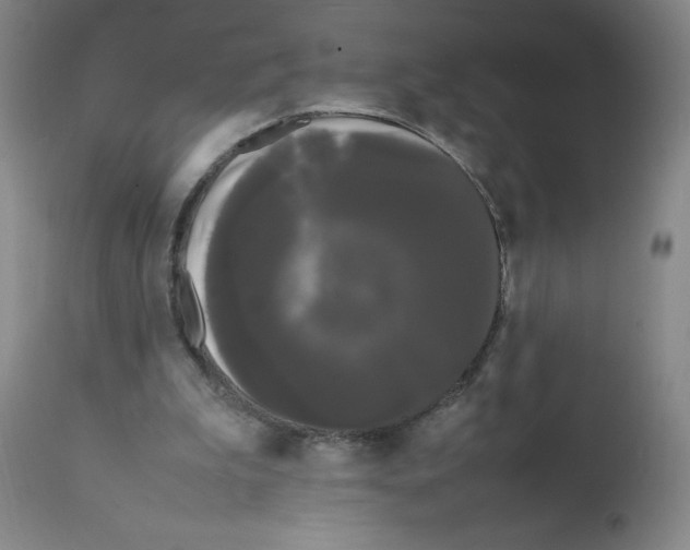 X0000112070199200909151056