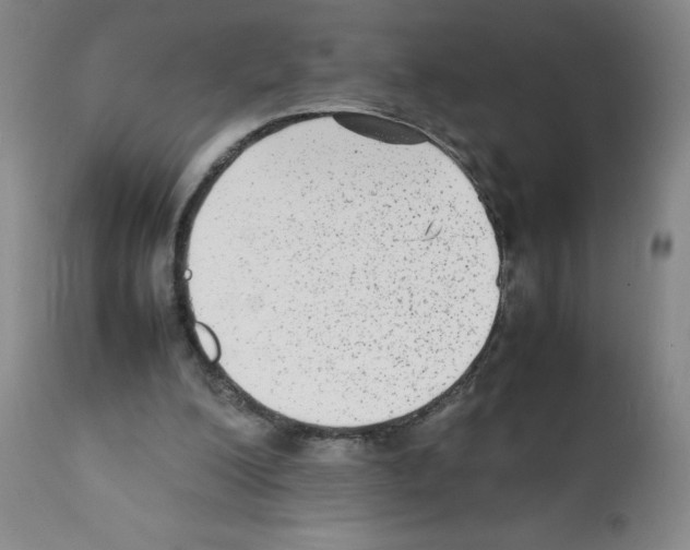 X0000112070200200909151056