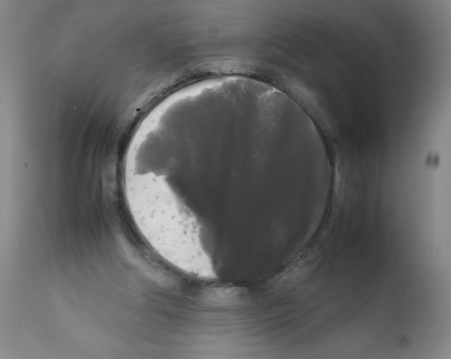X0000112070202200909151056