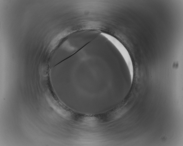 X0000112070203200909151056