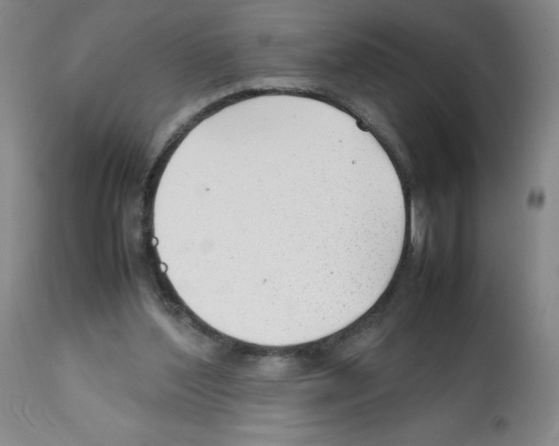 X0000112070204200909151056
