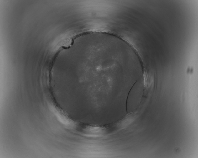 X0000112070205200909151056