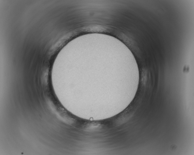 X0000112070206200909151056