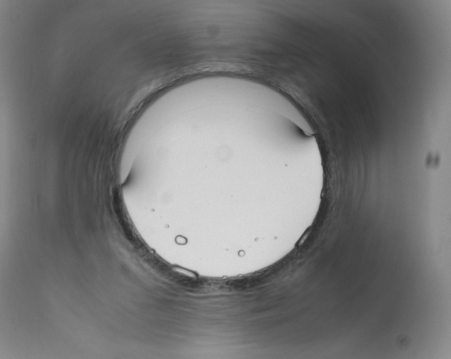 X0000112070207200909151056