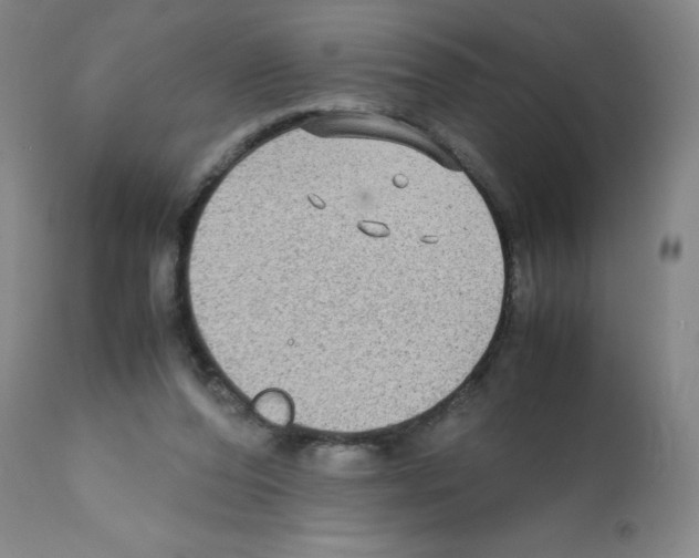 X0000112070208200909151056