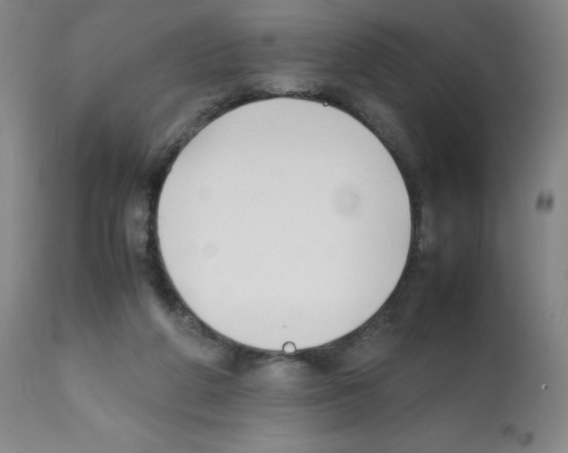 X0000112070210200909151056