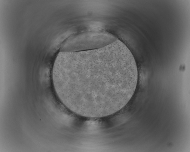 X0000112070211200909151056