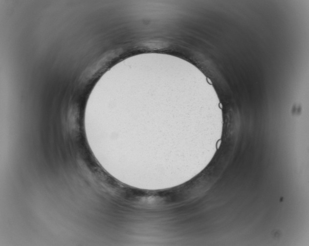 X0000112070212200909151056