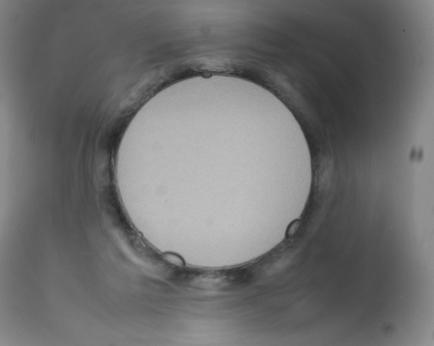 X0000112070213200909151056