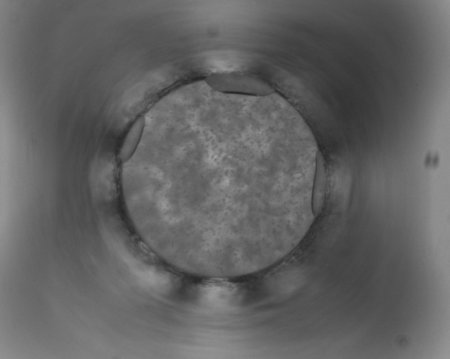 X0000112070215200909151056