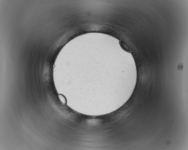 X0000112070216200909151056