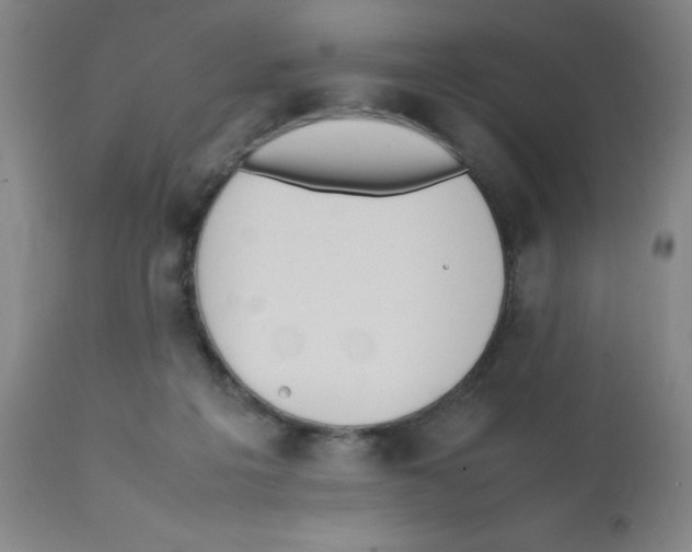 X0000112070217200909151056
