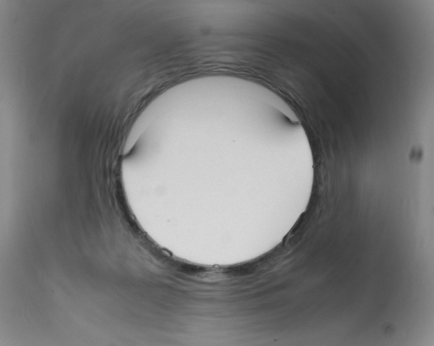 X0000112070219200909151056