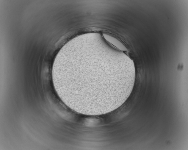 X0000112070220200909151056