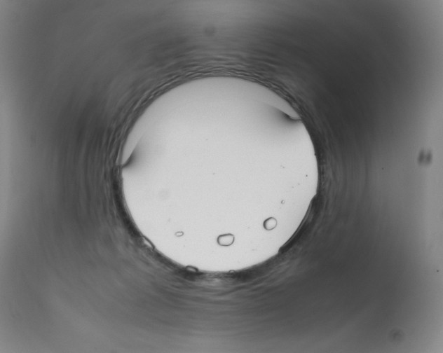 X0000112070221200909151056