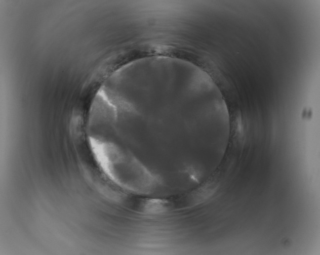 X0000112070222200909151056