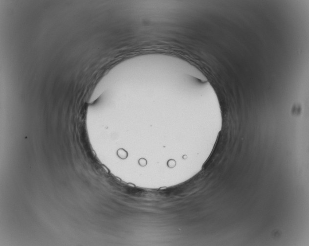 X0000112070223200909151056