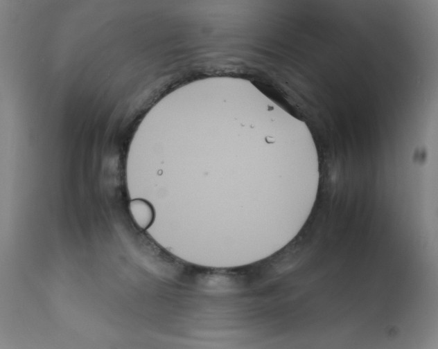 X0000112070224200909151056