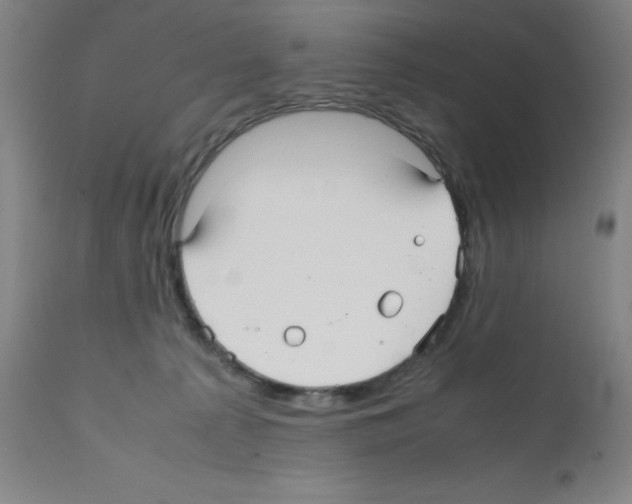 X0000112070225200909151056