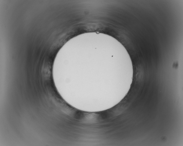 X0000112070226200909151056