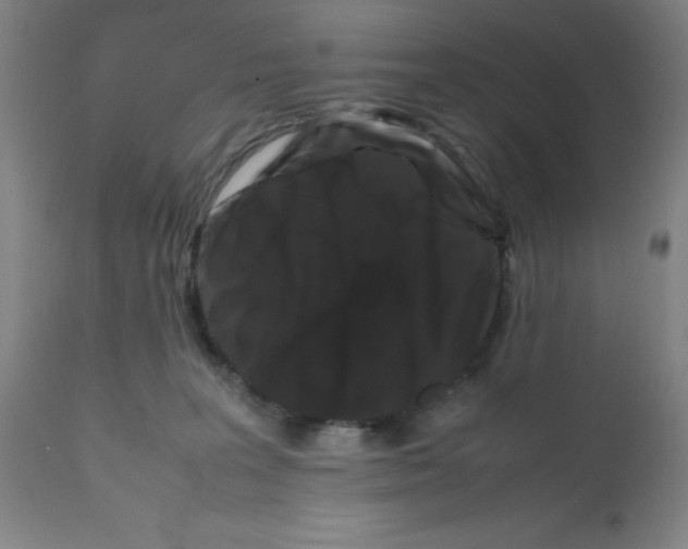 X0000112070227200909151056