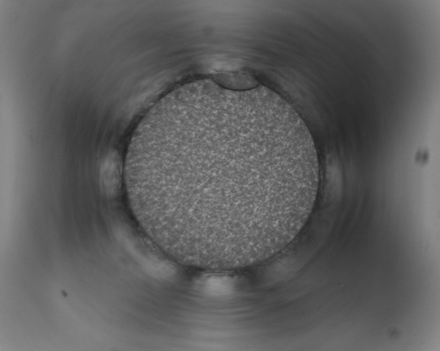X0000112070228200909151056
