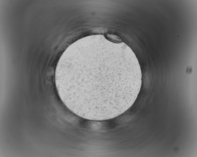 X0000112070229200909151056